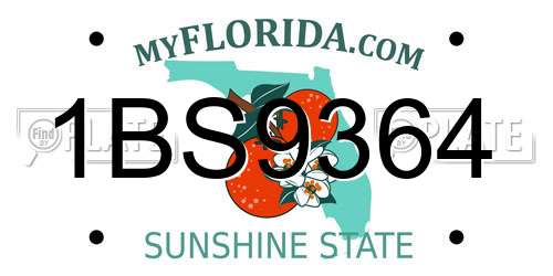 1BS9364 Florida License Plate