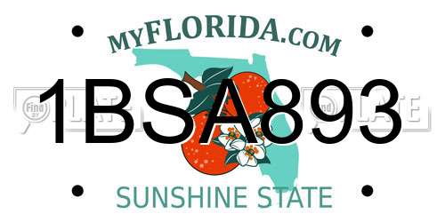 1BSA893 Florida License Plate