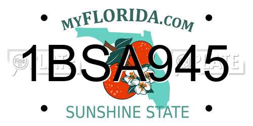 1BSA945 Florida License Plate