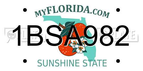 1BSA982 Florida License Plate