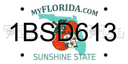 1BSD613 Florida License Plate