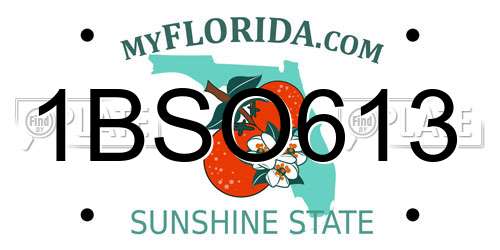 1BSO613 Florida License Plate