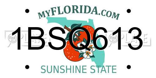 1BSQ613 Florida License Plate