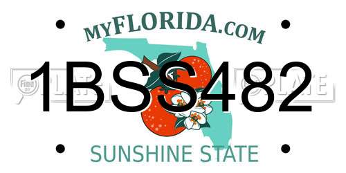 1BSS482 Florida License Plate
