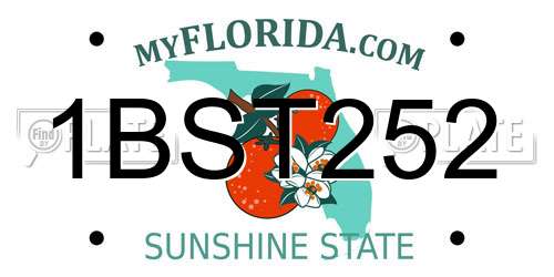 1BST252 Florida License Plate