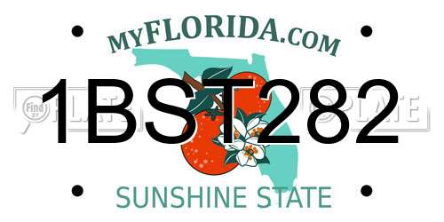 1BST282 Florida License Plate