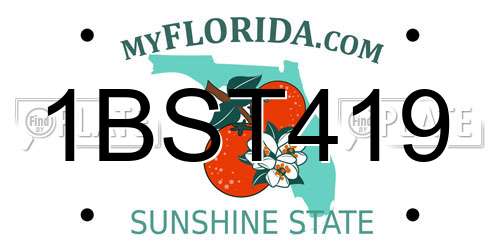 1BST419 Florida License Plate