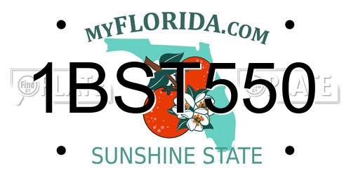 1BST550 Florida License Plate