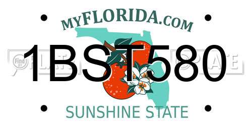 1BST580 Florida License Plate