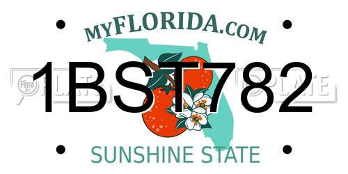 1BST782 Florida License Plate