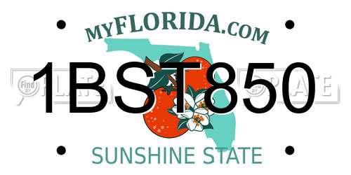 1BST850 Florida License Plate