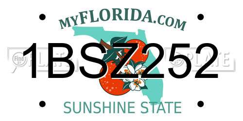 1BSZ252 Florida License Plate