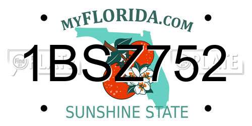 1BSZ752 Florida License Plate