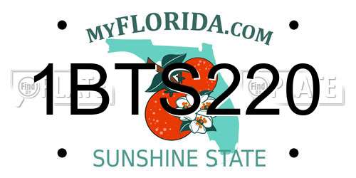 1BTS220 Florida License Plate