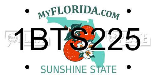 1BTS225 Florida License Plate