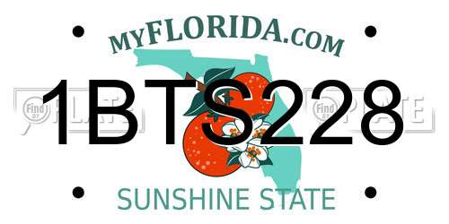 1BTS228 Florida License Plate