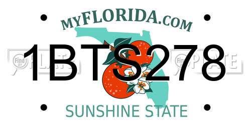 1BTS278 Florida License Plate