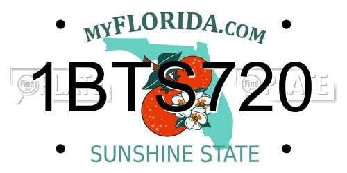 1BTS720 Florida License Plate