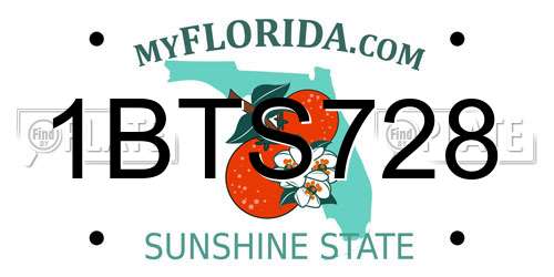 1BTS728 Florida License Plate