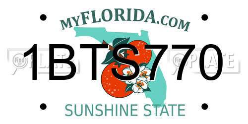1BTS770 Florida License Plate
