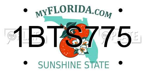 1BTS775 Florida License Plate