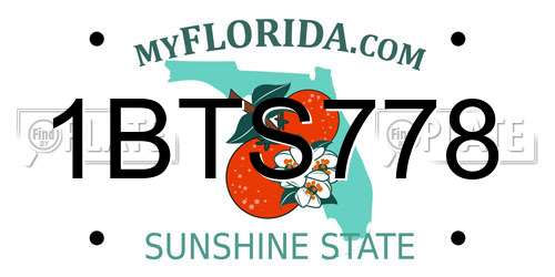 1BTS778 Florida License Plate