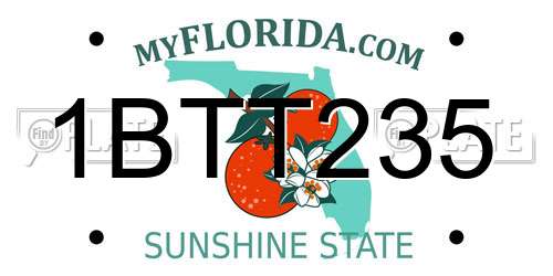 1BTT235 Florida License Plate