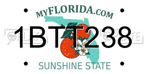 1BTT238 Florida License Plate