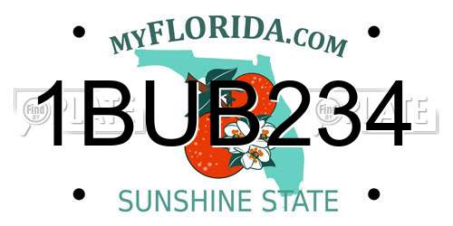 1BUB234 Florida License Plate