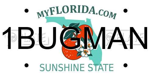 1BUGMAN Florida License Plate