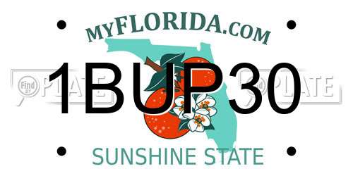 1BUP30 Florida License Plate
