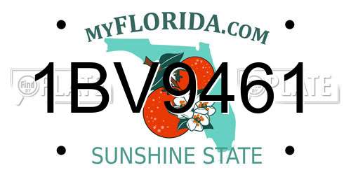 1BV9461 Florida License Plate
