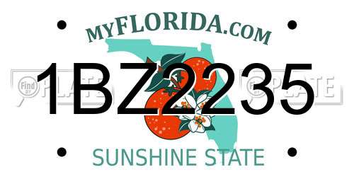 1BZ2235 Florida License Plate