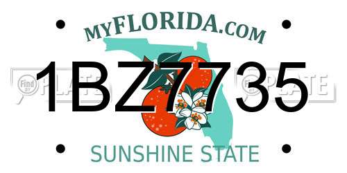 1BZ7735 Florida License Plate