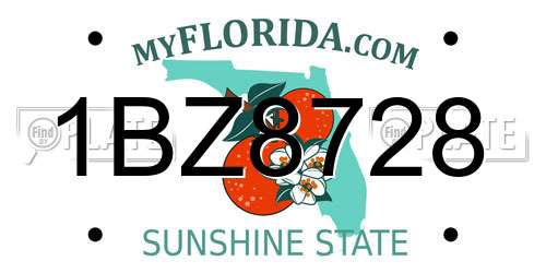 1BZ8728 Florida License Plate