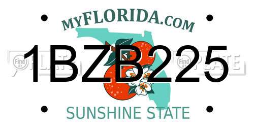 1BZB225 Florida License Plate