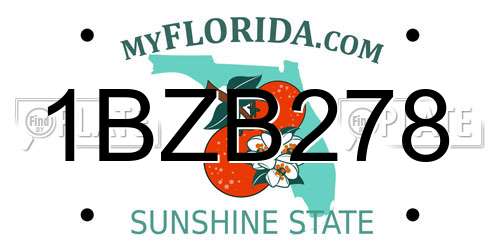 1BZB278 Florida License Plate