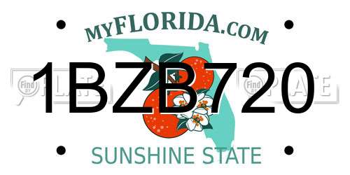 1BZB720 Florida License Plate