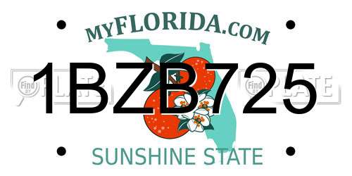 1BZB725 Florida License Plate