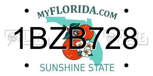 1BZB728 Florida License Plate