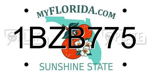 1BZB775 Florida License Plate