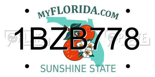 1BZB778 Florida License Plate