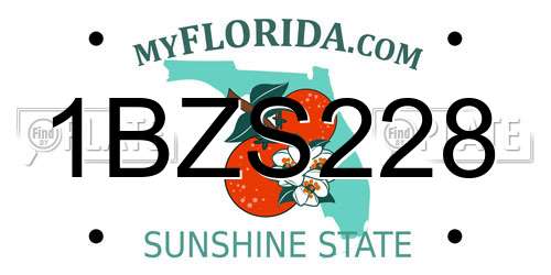 1BZS228 Florida License Plate