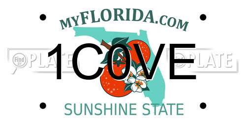1C0VE Florida License Plate