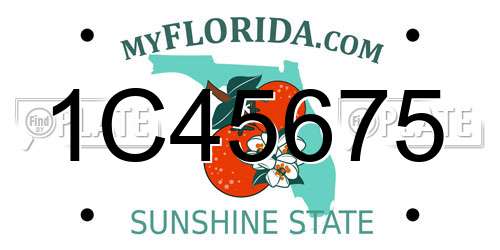 1C45675 Florida License Plate