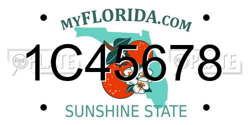 1C45678 Florida License Plate