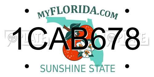 1CAB678 Florida License Plate