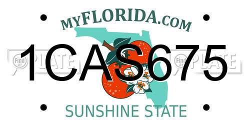 1CAS675 Florida License Plate