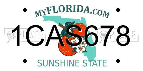 1CAS678 Florida License Plate