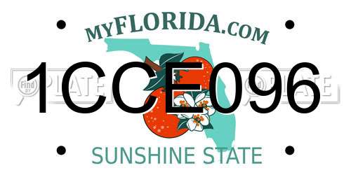 1CCE096 Florida License Plate